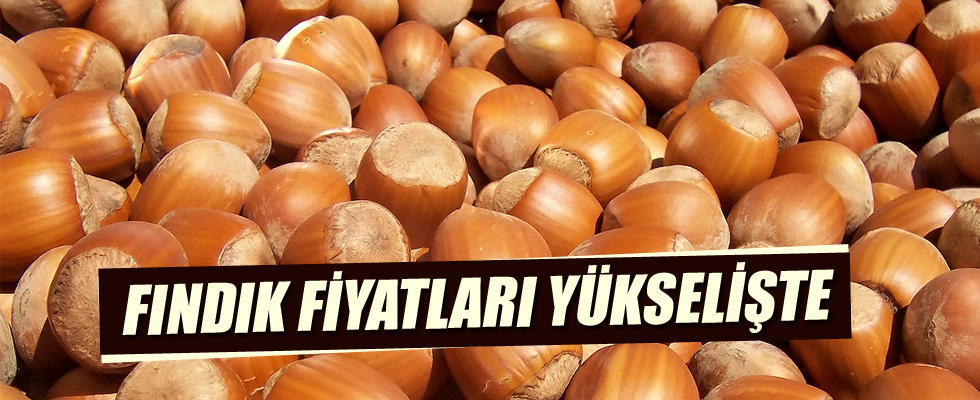 Fındık fiyatı arttı