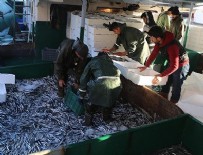 Hamsi fiyatında büyük düşüş