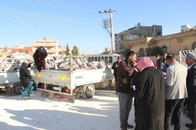 Şanlıurfa'da Ücretsiz Kömür Dağıtımı Başladı