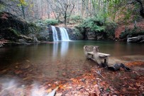 Suuçtu Şelalesi'nde Sonbahar Büyüsü