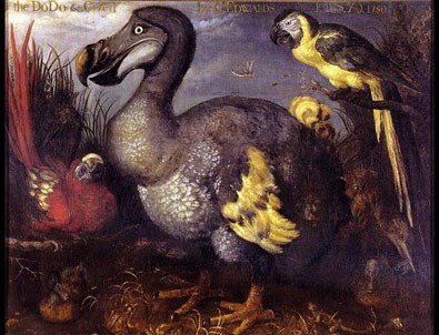 Dodo iskeleti 430 bin dolara satıldı