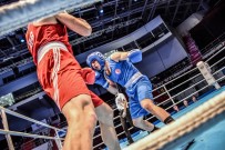 ERDEMIR - Milli Boksörlerden Tarihi Başarı