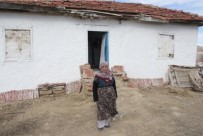 OĞLAN - Yaşlı Kadının Yaşam Mücadelesi