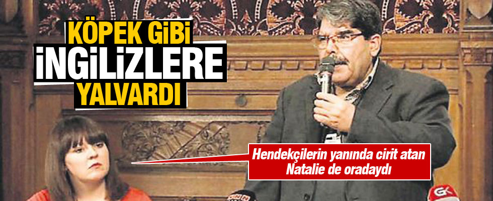 Avamtacı Salih İngilizlere yalvardı