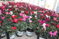 Başkan Akdoğan'dan Öğretmenlere Çiçek Jesti