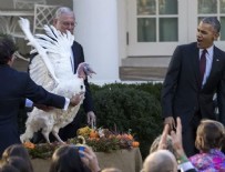 ŞÜKRAN GÜNÜ - Obama son kez hindi affetti