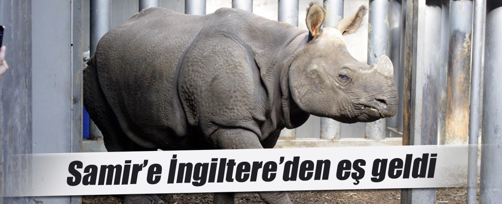 Samir'e İngiltere'den eş geldi