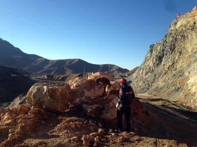 Şirvan'da Arama Kurtarma Çalışmaları Sürüyor