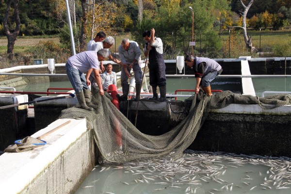 Milyonlarcası bir anda telef oldu