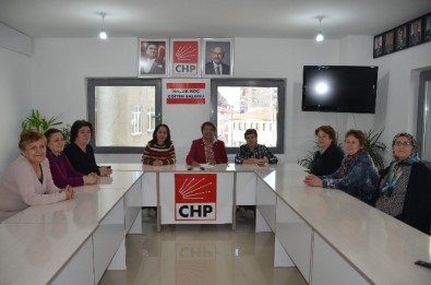 Bilecik'te CHP'li Kadınlar Kadına Şiddeti Kınadı