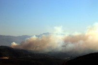 LAZKİYE - Hatay'ın Suriye Sınırında Orman Yangını
