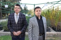 SERINYOL - Hatay Orman Fidanlığı 2016 Yılında 6 Milyon Fidan Üretti