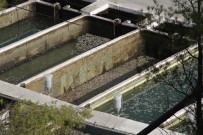 SU KANALI - Milyonlarcası bir anda telef oldu