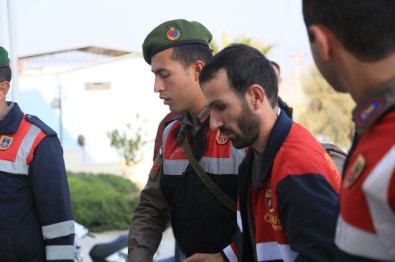 Milas'ta PKK'lı terörist yakalandı