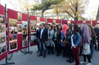 ANMA ETKİNLİĞİ - Uşak'ta Türkeş'in 99'Uncu Ad Gününde 99 Fotoğraf Sergisi Düzenledi