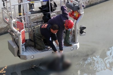 İzmir'de derede ceset bulundu