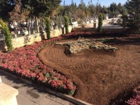 AY YıLDıZ - Şehit Mezarlarının Bakımları Yapıldı