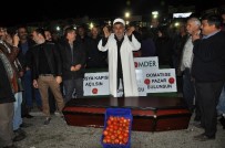 Antalya'da Çiftçiler Domatesin Cenazesini Kaldırdı