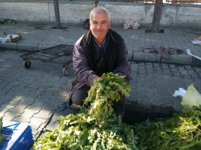 Taze Haşhaş Otu Pazarda Yerini Aldı