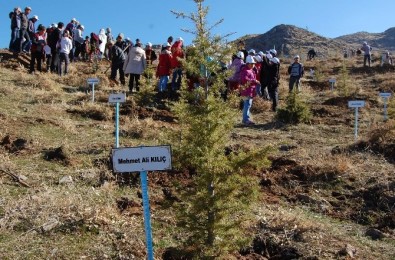 Bitlis'te '15 Temmuz Demokrasi Şehitleri Ormanı' Oluşturuldu