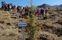 Bitlis'te '15 Temmuz Demokrasi Şehitleri Ormanı' Oluşturuldu