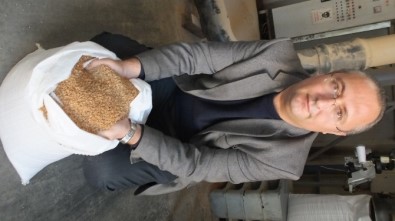 Burhaniye' De Zeytin Çekirdeği Aranan Kalorifer Yakıtı Oldu