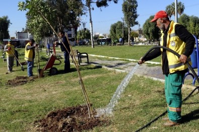 Akdeniz Belediyesi, Parkları Yenilemeye Devam Ediyor
