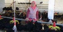 TAVUK ÇİFTLİĞİ - Genç Kadın, Çiftçi Desteğiyle İşinin Patronu Oldu