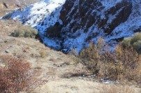 NİZAMETTİN TAŞ - Horasan'da Otomobil Uçuruma Yuvarlandı Açıklaması 2 Yaralı