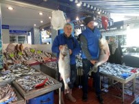 BALIK BEREKETİ - Mudanya'da Balık Bereketi