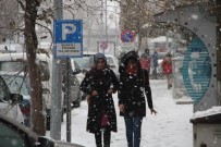 SIBIRYA - Ardahan'da Kar Yağışı