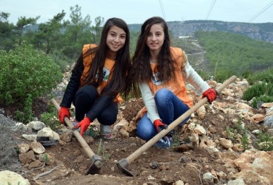 Erdemli'de 2 Bin Fidan Dikildi