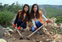 Erdemli'de 2 Bin Fidan Dikildi