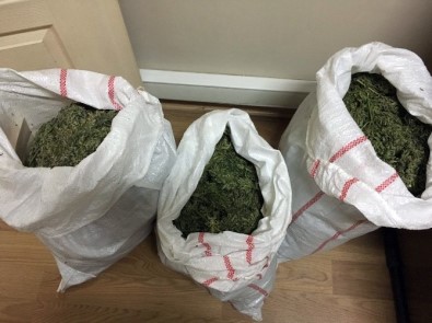 Kahramanmaraş'ta Uyuşturucu Operasyonu Açıklaması 5 Gözaltı