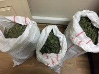 Kahramanmaraş'ta Uyuşturucu Operasyonu Açıklaması 5 Gözaltı