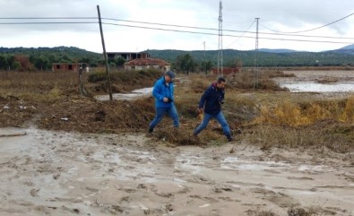Vali Yazıcı Selin Vurduğu Ayvalık'ta