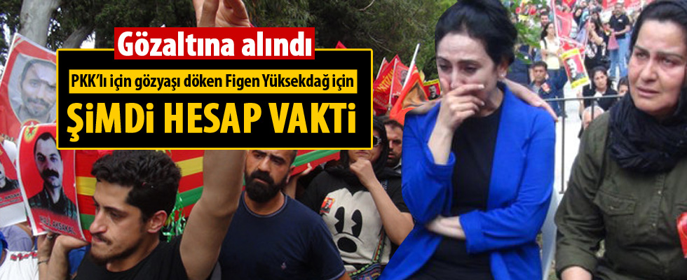 Figen Yüksekdağ gözaltına alındı