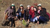 DEDE MUSA BAŞTÜRK - Üniversite Öğrencileri Bin 500 Fidanı Toprakla Buluşturdu