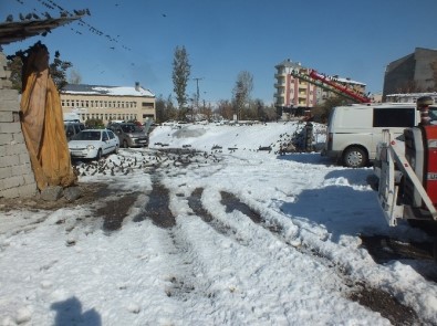 Aç Kuşlar Buğday Deposunu Mesken Tuttu