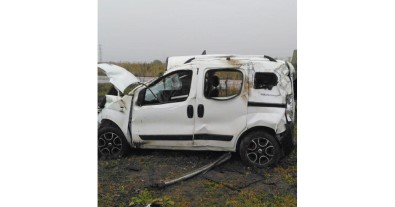 Köpek feci kazaya neden oldu