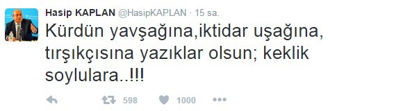 Hasip Kaplan Kürtlere hakaret etti