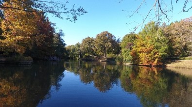 Atatürk Arboretumu'nda Sonbahar Manzaraları Havadan Görüntülendi