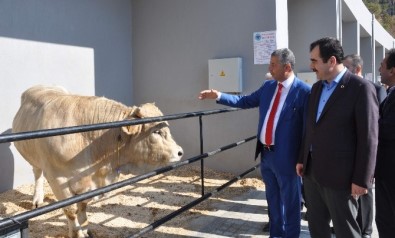 Erdem; 'Türk Tarımı, Dünyada Artık Küresel Bir Aktör'