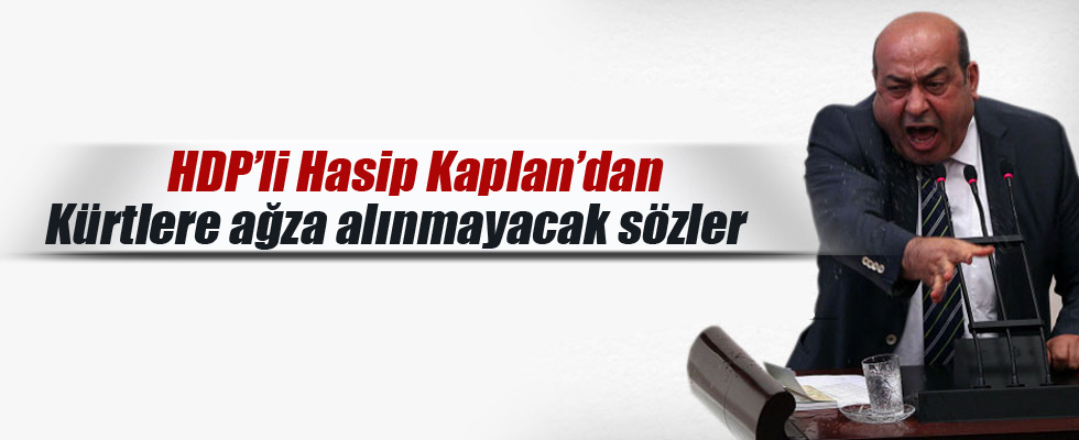 HDP'li Hasip Kaplan'dan Kürtler'e hakaret