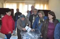 SEÇİM YASASI - Soydaşlar Cumhurbaşkanlığı Seçimi İçin Sandık Başında