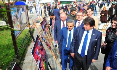 15 Temmuz Sergisine Büyük İlgi