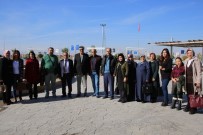 ERTUĞRUL ÇALIŞKAN - Karaman'da Organ Nakli Yapılan Ve Organ Bekleyen Hastalar Buluştu