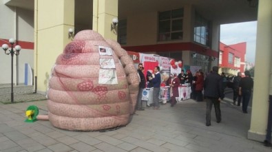 Koca Ciğer Düzce'de