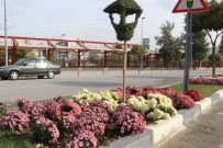 Manisa'da Renk Cümbüşü