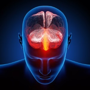 Nöroloji Uzmanı Yavuz Açıklaması 'Sizi Bağımlı Eden 'Beyniniz''